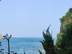 -棒棰岛宾馆景区
