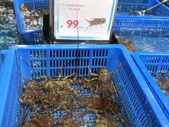 -盒马鲜生(曜一城店)