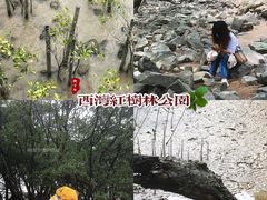 -宝安西湾红树林湿地公园