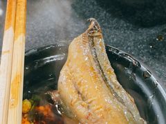 -铜元老码头鳝鱼火锅