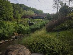 -云溪植物园