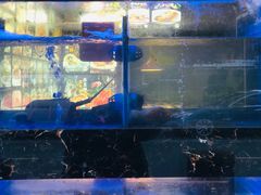 -501號台州海鲜餐厅(海创园店)