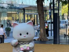 -深圳湾万象城(南山店)