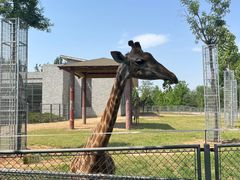 -石家庄市动物园