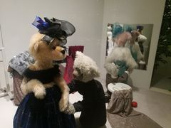 -济州岛泰迪熊博物馆