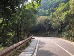 -梧桐山风景名胜区