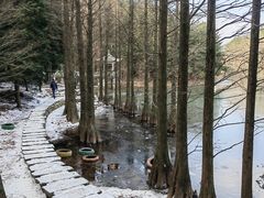 -四明山国家森林公园