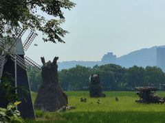 -长兴太湖图影湿地文化园
