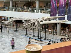 -1868 Café(自然博物馆店)