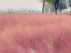 -汉长安城未央宫国家考古遗址公园