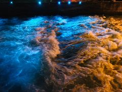 -老号尤兔头(幸福店)