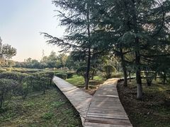 -西安浐灞国家湿地公园