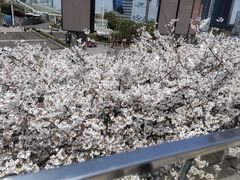 -上海之巅观光厅
