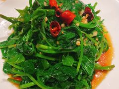 本地菠菜-佬肥猫(国华广场店)