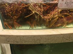 -白金汉爵大酒店(相城店)