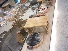 -飞行喵MR PILOT|猫舍·猫咖(静安大融城店)