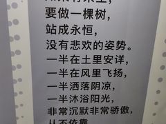 -深圳失恋博物馆再见前任(汇商名苑店)