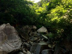 -黑龙潭风景区