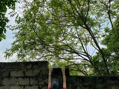 -扬美古镇景区