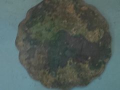 -天津自然博物馆