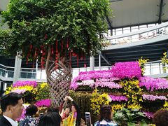 -南通洲际绿博园