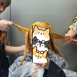 -三原色染发巴黎画染潮色漂色