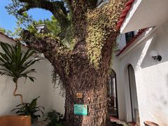 -澳门圣地牙哥古堡酒店