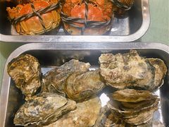 蒸汽生蚝-张记旺角食街(动物园店)