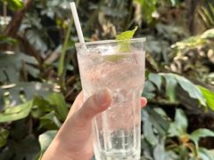 -Fern Forest Cafe
