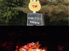 -泰安方特欢乐世界
