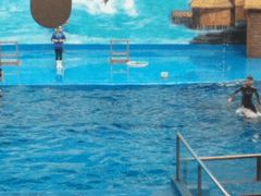 -石林冰雪海洋世界