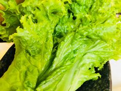 -食潮汕头鲜牛馆(望京保利店)