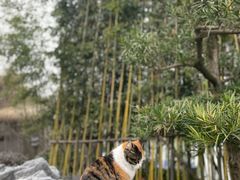 -太极禅苑