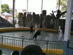 -泉州海丝野生动物世界