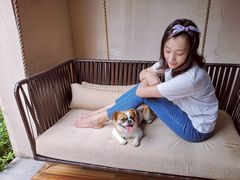 -上海崇明金茂凯悦酒店