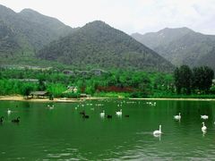 -西安秦岭野生动物园