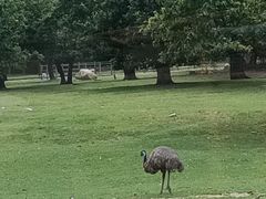 -西安秦岭野生动物园