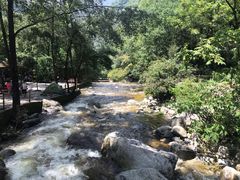 -陕西省红河谷森林公园