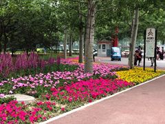 -朝阳公园游乐园