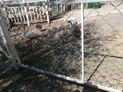 -北京鹿世界主题园
