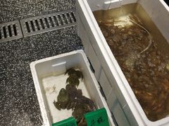 食材-三炮海鲜烧烤店(河畔·幸福城店)
