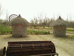 -溱湖国家湿地公园