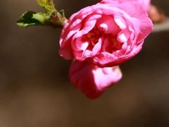 -绿韵花艺鲜花店(解放南路店)