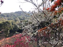 -桃花涧