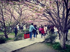 -西安青龙寺遗址景区