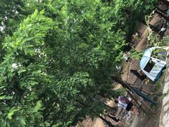 -白水寺森林公园