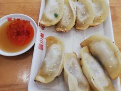 鲜肉锅贴-小姜锅贴(凤凰街店)