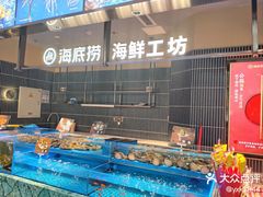 -海底捞火锅(长宁路龙之梦店)