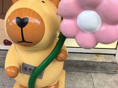 -首创奥特莱斯(北京店)