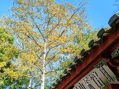 -乌山风景区